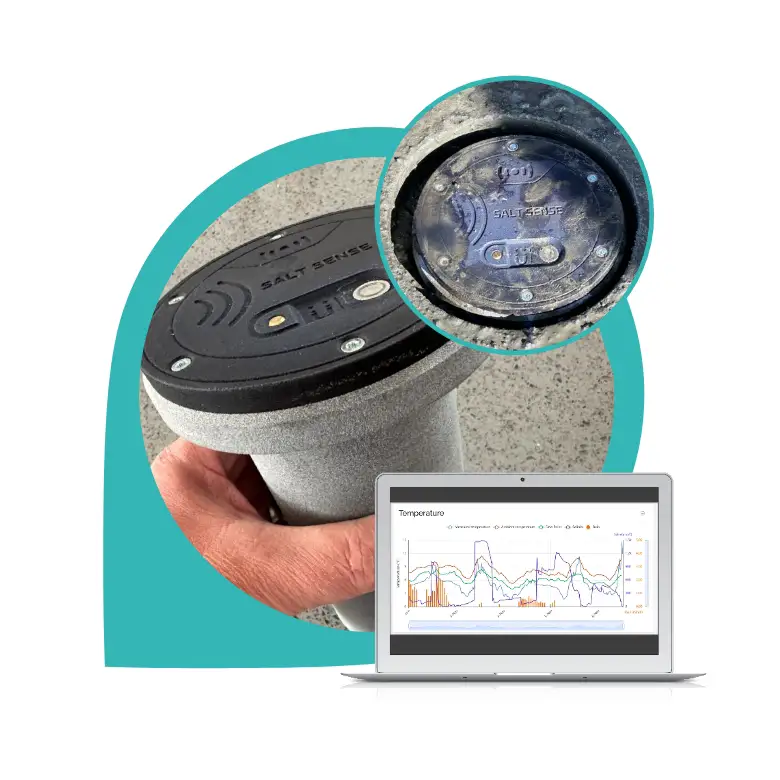 Road Surface Temperature & Salinity Measurement